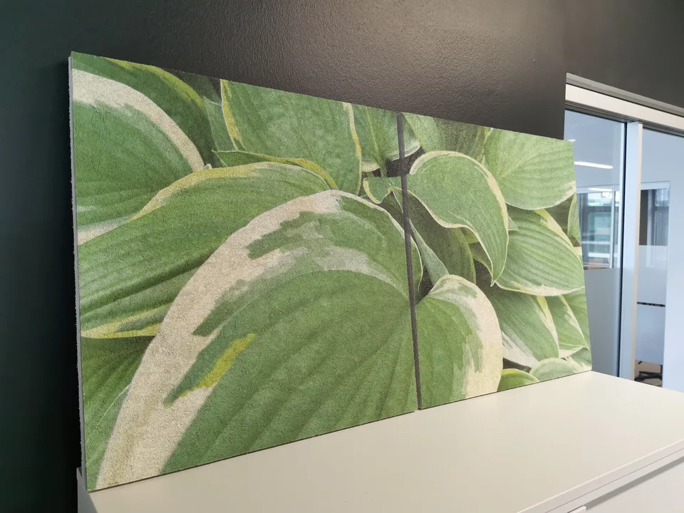 Suur fototrükiga akustiline paneel hosta lehtedega kontori seinal
